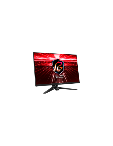 Asrock Gaming Monitor